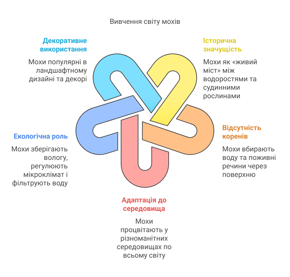 Мъхове: кратък преглед и интересни факти