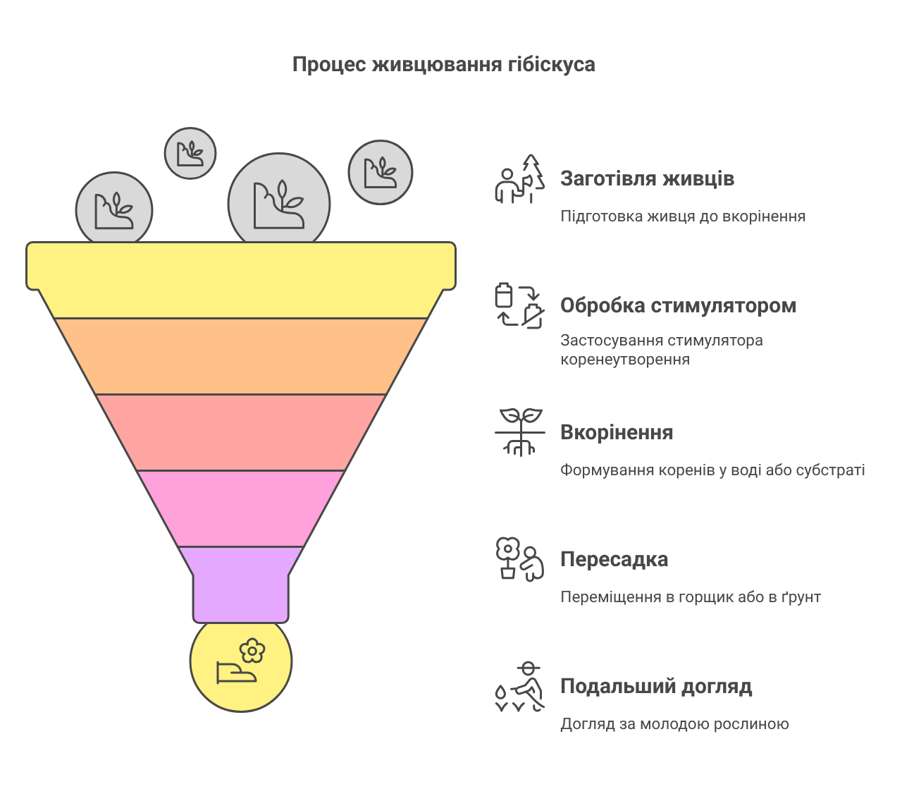 Как да засадите хибискус от клонка (вкореняване) 